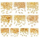 1000pcs Seashell Resin Fillers for Crafts