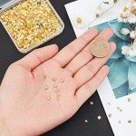 1000pcs Seashell Resin Fillers for Crafts