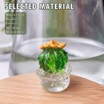 Cute Resin Cactus Figurines for Home Decor