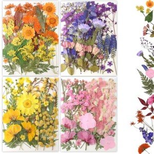 80Pcs Natural Pressed Flowers for Crafting
