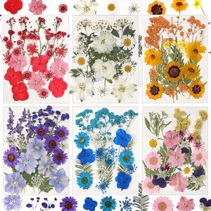 Dried Pressed Flowers for Resin Art - 103 Pcs
