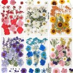 Dried Pressed Flowers for Resin Art - 103 Pcs