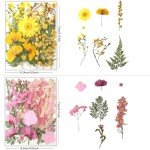 80Pcs Natural Pressed Flowers for Crafting