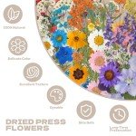 Dried Pressed Flowers for Resin Art - 103 Pcs