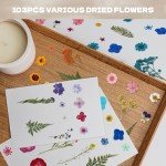 Dried Pressed Flowers for Resin Art - 103 Pcs