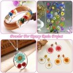 300 Dried Mini Flowers for Crafting