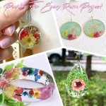 300 Dried Mini Flowers for Crafting