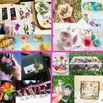 Dried Pressed Flowers for Resin Art - 103 Pcs