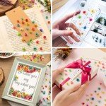 300 Dried Mini Flowers for Crafting