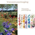 Dried Pressed Flowers for Resin Art - 103 Pcs