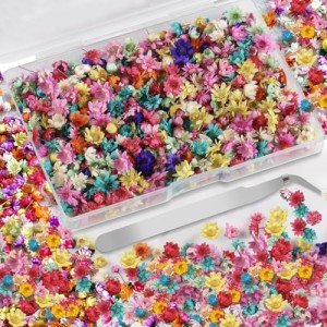 Mini Dried Flowers for Resin Art - 420 Pack