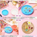 300 Dried Mini Flowers for Crafting