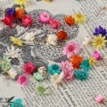 Mini Dried Flowers for Resin Art - 420 Pack