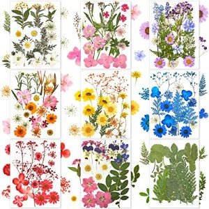 167 Pieces Colorful Dried Flowers for Resin Art
