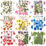 167 Pieces Colorful Dried Flowers for Resin Art