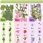 167 Pieces Colorful Dried Flowers for Resin Art