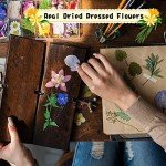 167 Pieces Colorful Dried Flowers for Resin Art