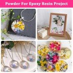 Mini Dried Flowers for Resin Art - 420 Pack
