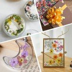 Mini Dried Flowers for Resin Art - 420 Pack