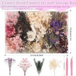 Dried Flower Mix for Resin Art & Crafts