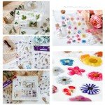 Maxleaf 8 Sheets 3D Leaf Stickers for Crafts