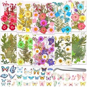 Dried Pressed Flower Butterfly Stickers for Resin Craft