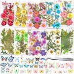 Dried Pressed Flower Butterfly Stickers for Resin Craft