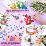 Dried Pressed Flower Butterfly Stickers for Resin Craft