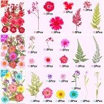 Dried Pressed Flower Butterfly Stickers for Resin Craft