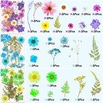 Dried Pressed Flower Butterfly Stickers for Resin Craft