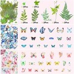 Dried Pressed Flower Butterfly Stickers for Resin Craft