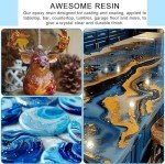 Clear Epoxy Resin Kit for Art & Crafts 17.6oz