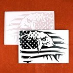 American Flag Eagle Wall Art Resin Mold