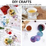 10-Piece Silicone Molds for Resin Coasters