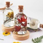 Creative Bottle Shape Resin Lamp Shade Mold Set