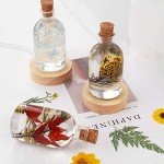 Creative Bottle Shape Resin Lamp Shade Mold Set