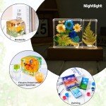 12-Piece 4-Inch Glossy Resin Mold Set