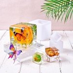 12-Piece 4-Inch Glossy Resin Mold Set