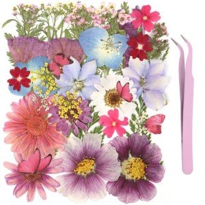 35Pcs Dried Flowers & 40Pcs Butterflies for Resin