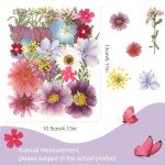 35Pcs Dried Flowers & 40Pcs Butterflies for Resin
