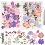 50 Pcs Dried Flowers Resin Mold Kit