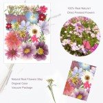 35Pcs Dried Flowers & 40Pcs Butterflies for Resin