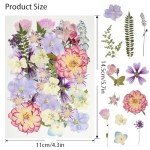 50 Pcs Dried Flowers Resin Mold Kit
