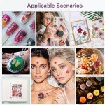 35Pcs Dried Flowers & 40Pcs Butterflies for Resin