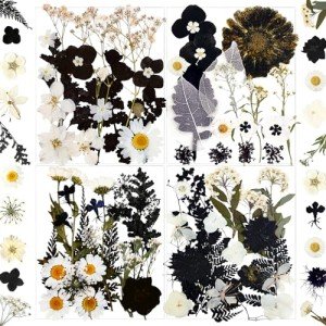 84Pcs Black Dried Flowers for Resin Art