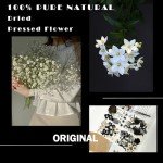 84Pcs Black Dried Flowers for Resin Art