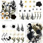 84Pcs Black Dried Flowers for Resin Art