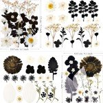 84Pcs Black Dried Flowers for Resin Art