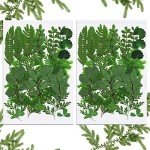 42 Dried Pressed Flowers and Leaves Set