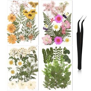 68-Piece Dried Pressed Flower and Leaf Set